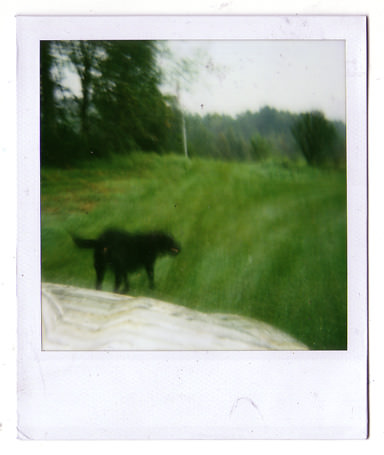 loading polaroid 003
