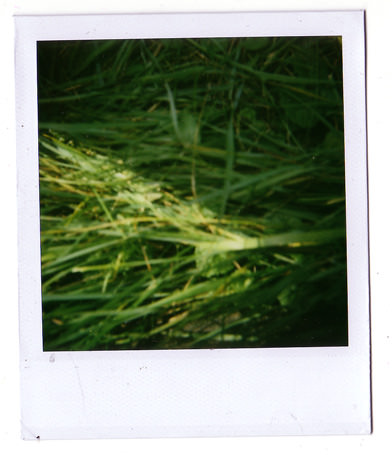 loading polaroid 012