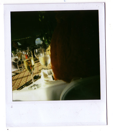 loading polaroid 039