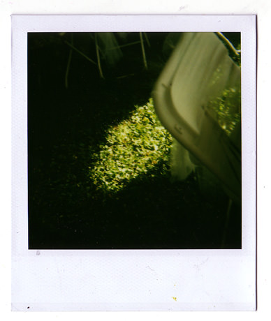 loading polaroid 040