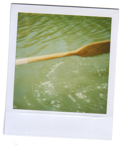 mf.polaroid(113)